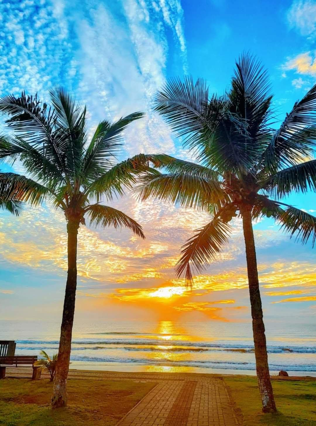 Nascer do sol na praia de Guaratuba com coqueiros emoldurando o horizonte